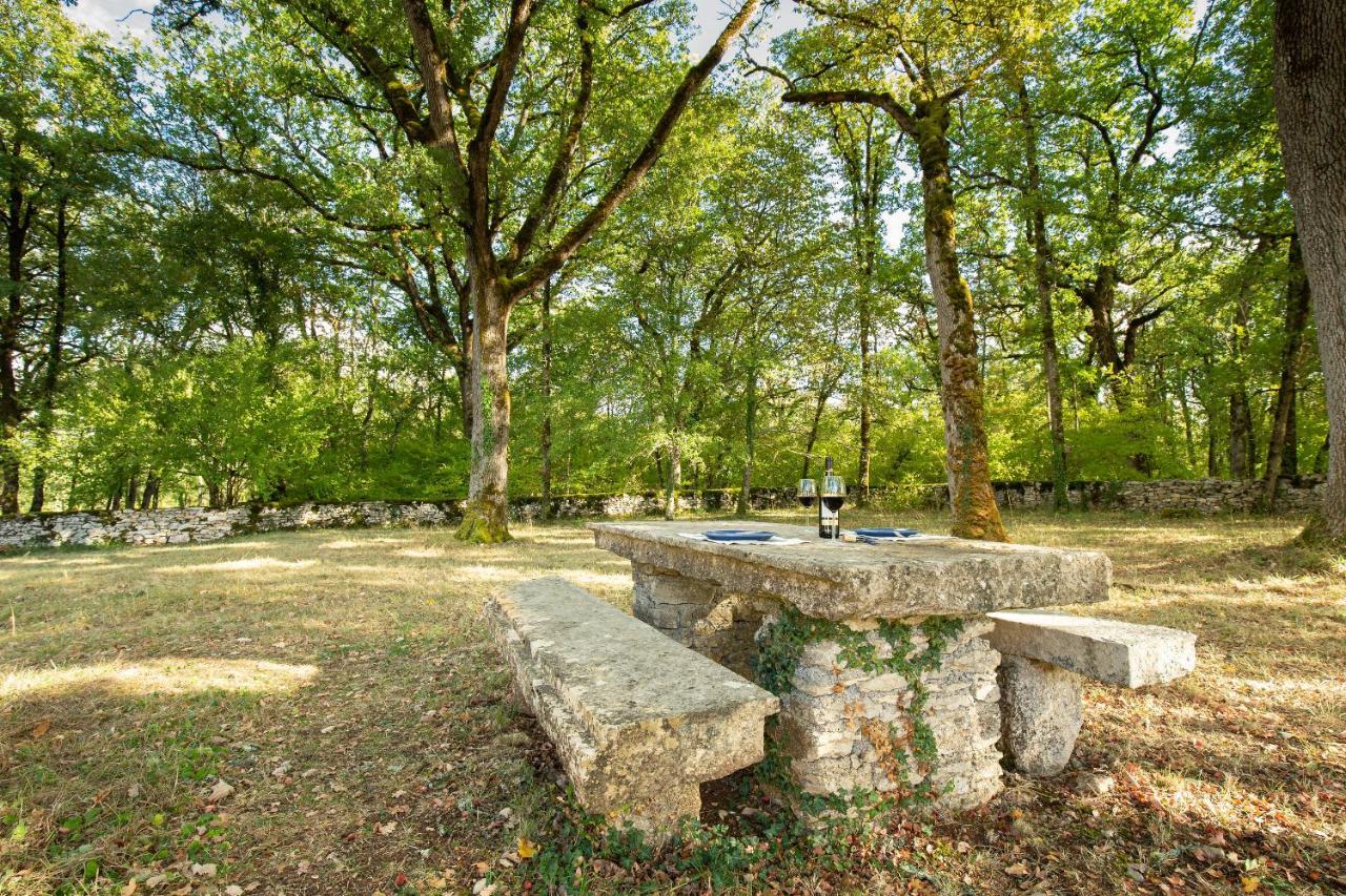 La Terrasse - A Peaceful Place In The Forest Concots Exterior foto